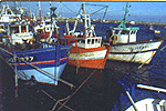 Barfleur harbour